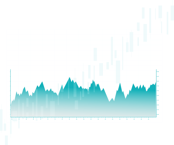 grafico bbce connect